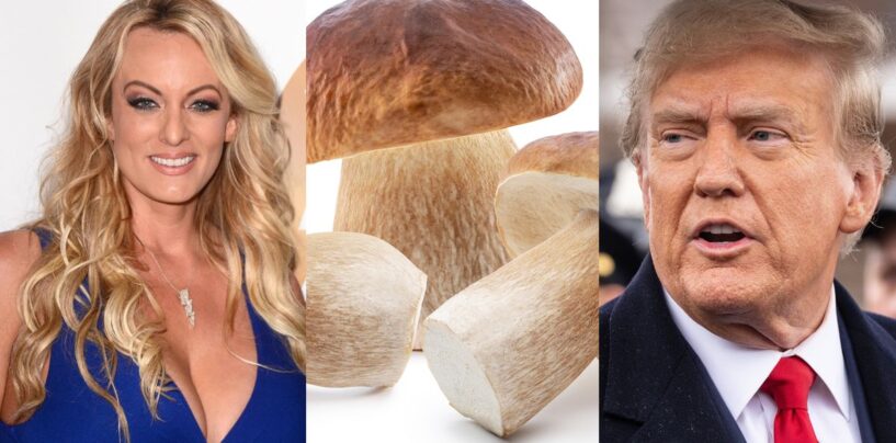 20 réactions les plus drôles à la description impitoyable de Stormy Daniels du membre *ahem* de Trump