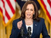 Kamala Harris : la décision de la Cour suprême sur la mifépristone ne signifie pas que l'avortement est sûr sous Trump