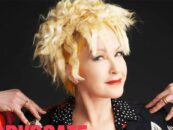 Cyndi Lauper est notre avocate de l'année