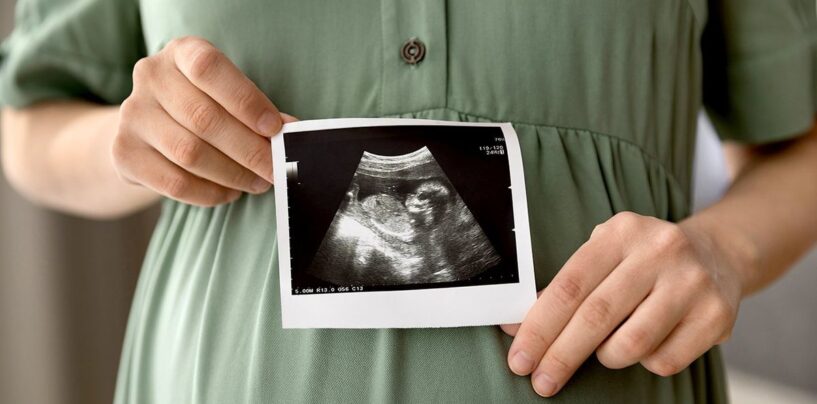 Les parents LGBTQ+ partagent l’importance de l’accès aux technologies de reproduction face aux défis de la FIV