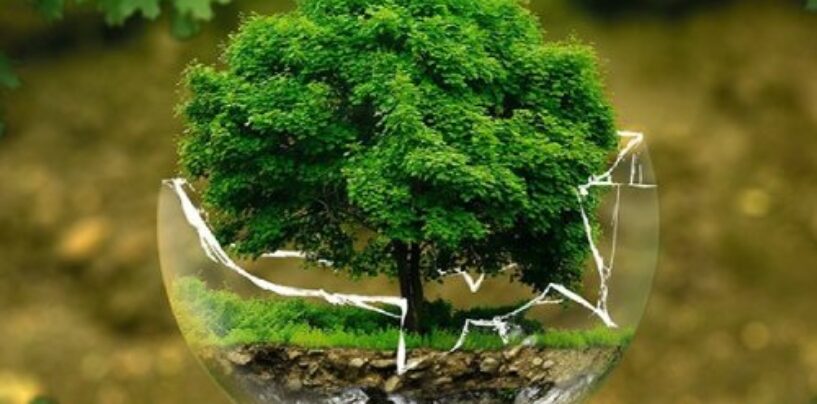 Idées respectueuses de la planète pour célébrer le Jour de la Terre