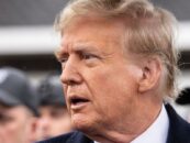 Un deuxième mandat de Trump redoublerait d’efforts pour effacer les droits des transgenres.  Voici comment les défenseurs se préparent.