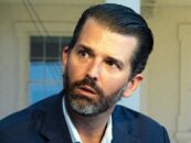 Donald Trump Jr. affirme bizarrement que l'ouragan Beryl porte un nom non binaire