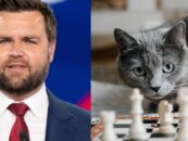 Tout le monde critique JD Vance à cause de ses commentaires sur la « dame aux chats sans enfants » et nous ronronnons