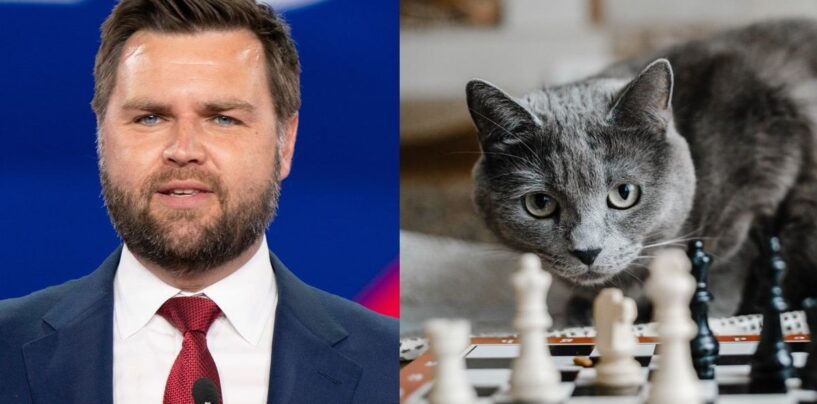 Tout le monde critique JD Vance à cause de ses commentaires sur la « dame aux chats sans enfants » et nous ronronnons