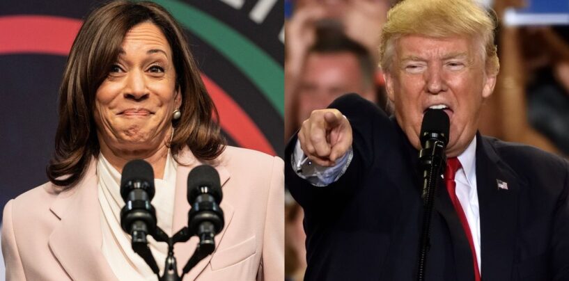 30 réactions hilarantes aux membres de MAGA qui perdent la tête lorsque les démocrates les qualifient de « bizarres »