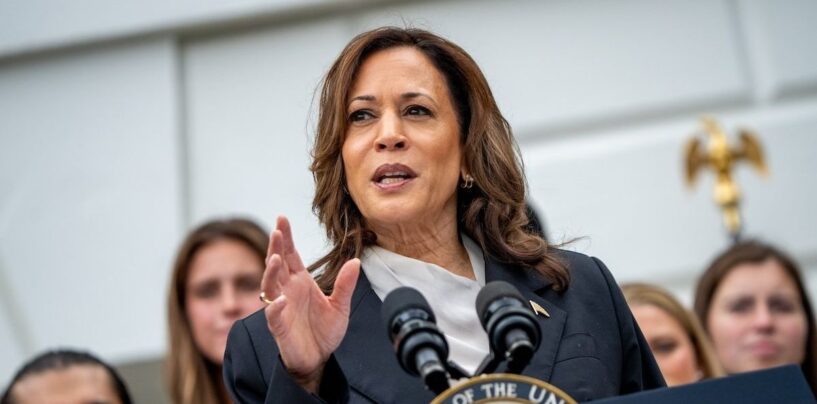 Qui Harris choisira-t-il comme candidat à la vice-présidence ? Plusieurs membres de l'équipe de My Gay Prides font leurs prédictions