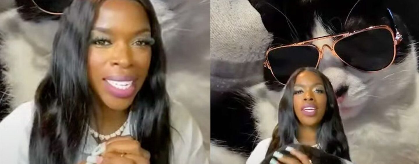 Les Cat Ladies de Kamala Harris s'unissent contre JD Vance et récoltent plus de 360 ​​000 $