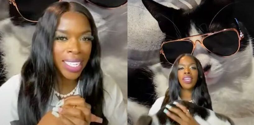 Les Cat Ladies de Kamala Harris s'unissent contre JD Vance et récoltent plus de 360 000 $