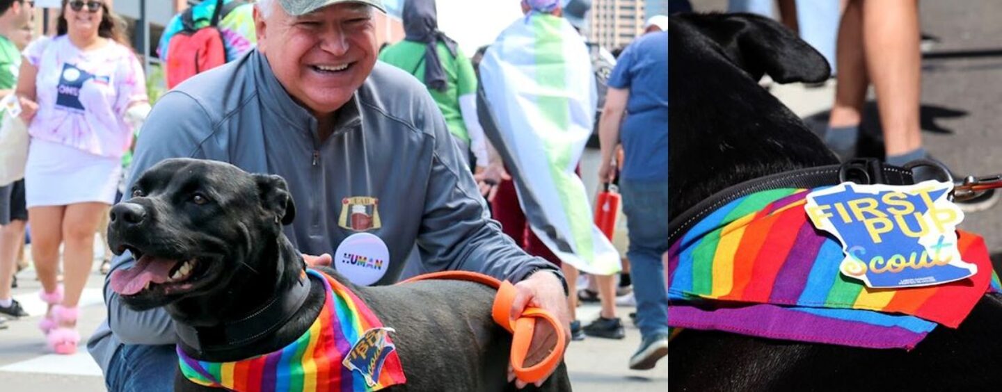 Tim Walz, le candidat à la vice-présidence choisi par Kamala Harris, est-il favorable à la cause LGBTQ+ ? Son bilan parle de lui-même