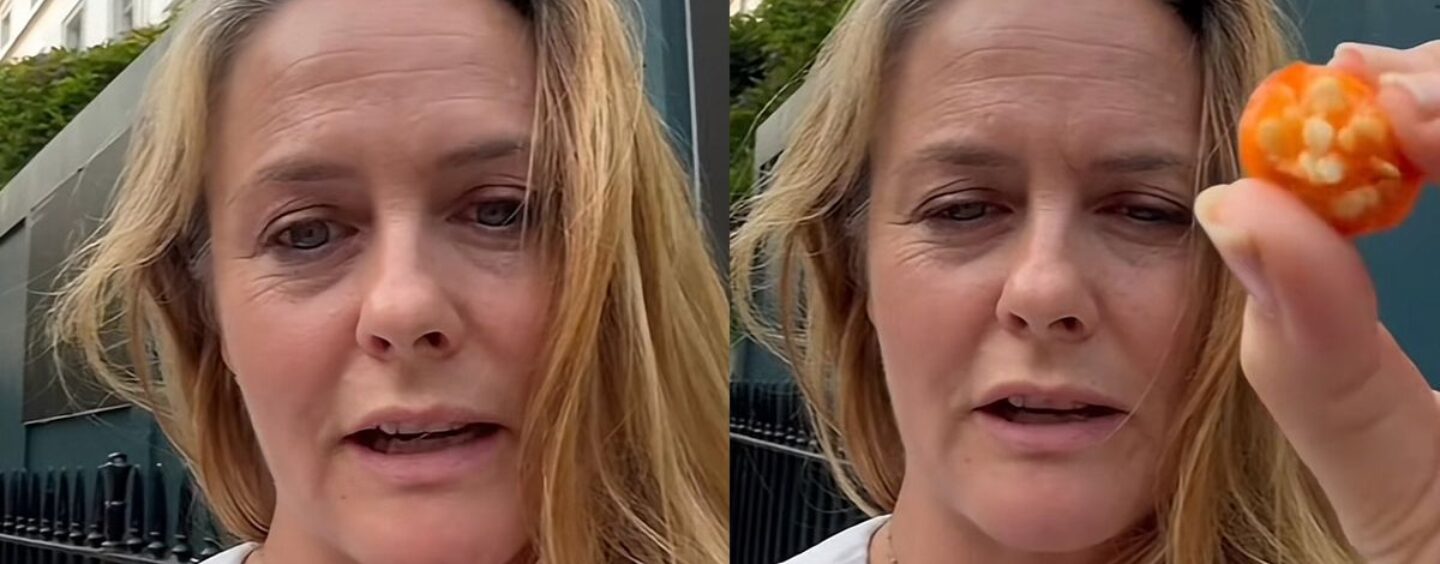 Alicia Silverstone fait croire à Internet qu'elle n'a vraiment aucune idée de ce qu'elle fait après avoir mangé une baie mystérieuse