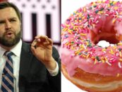 30 réactions HILARANTES à JD Vance commandant des beignets comme la personne la plus GÂCHE qui ait jamais existé