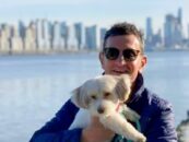 À l'occasion de la Journée nationale du chien, pourquoi les homosexuels aiment leurs chiens