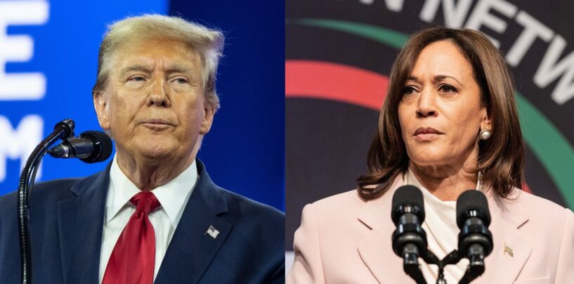 20 réactions drôles qui critiquent Trump pour cette interview désastreuse de la NABJ