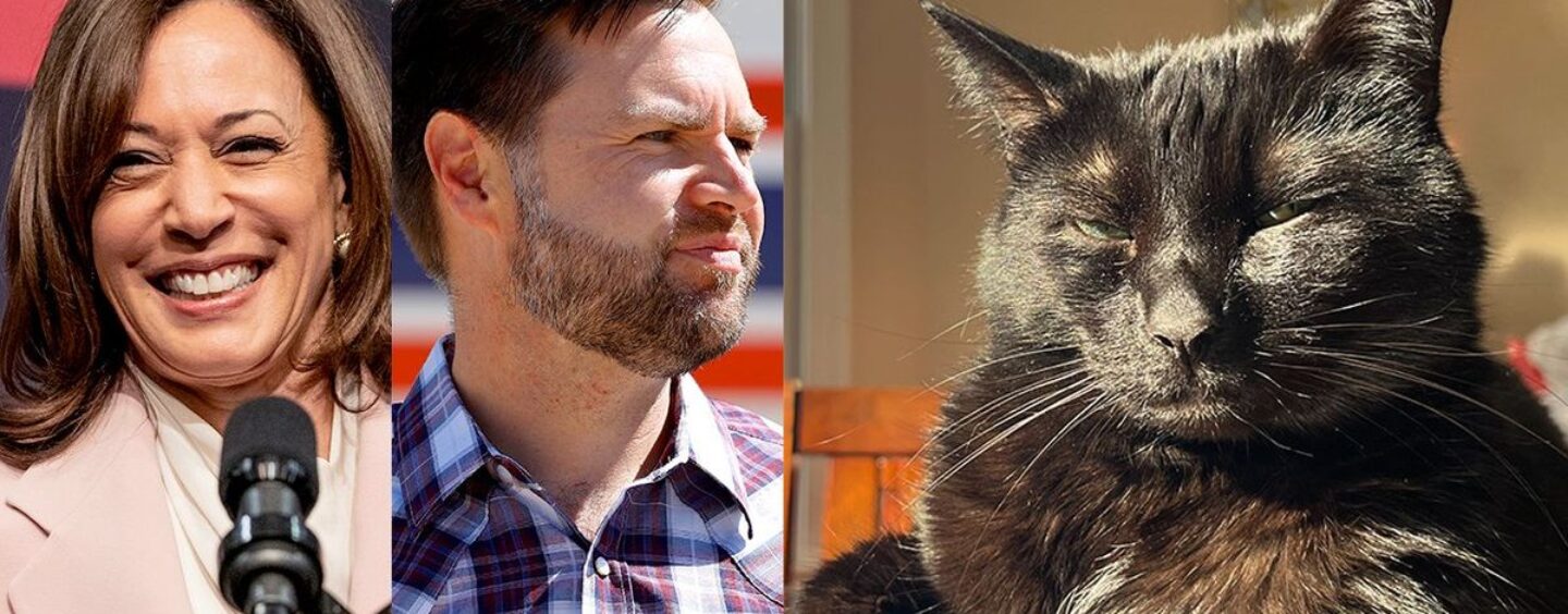 Les « Cat Ladies for Kamala Harris » font campagne ET critiquent JD Vance