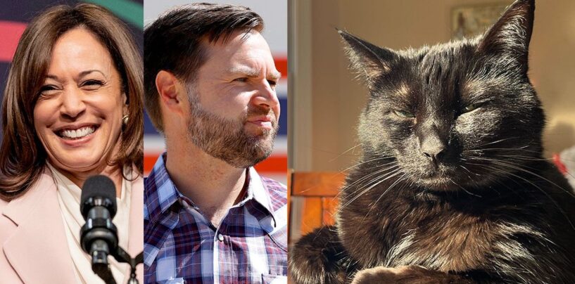 Les « Cat Ladies for Kamala Harris » font campagne ET critiquent JD Vance
