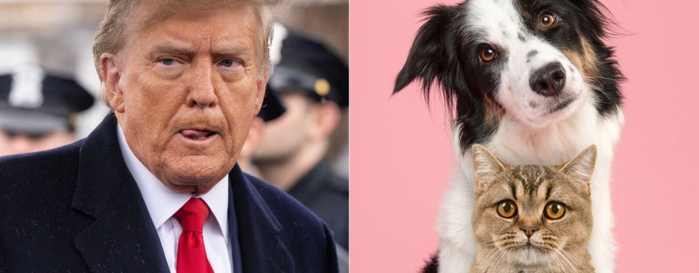 40 réponses drôles aux allégations de Trump selon lesquelles les immigrants « mangent les animaux de compagnie »