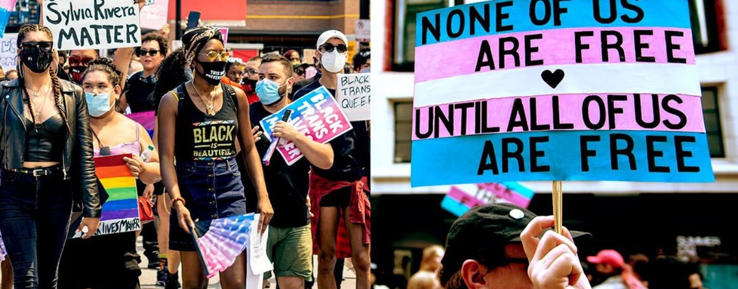 L'effet « Mark Robinson » : quand ils ne peuvent pas avoir de corps trans, ils les attaquent
