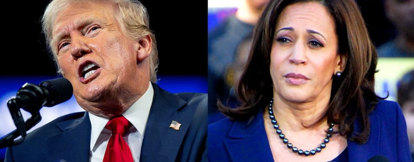 La dernière attaque anti-transgenre de Donald Trump contre Kamala Harris « sent le désespoir », selon ses défenseurs