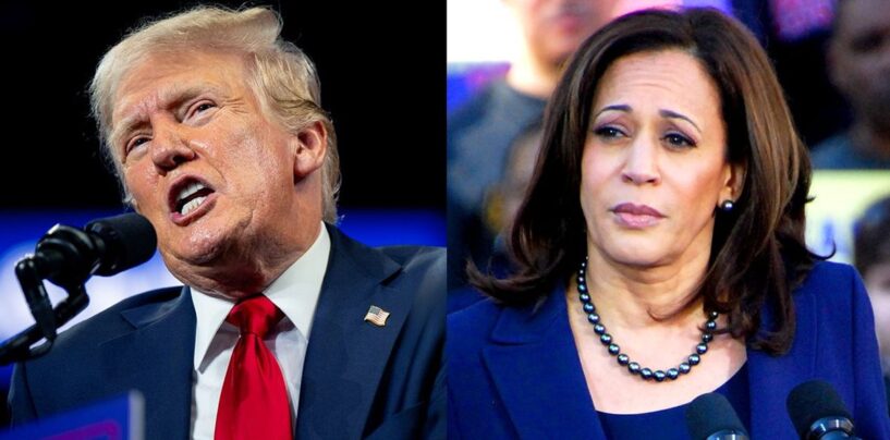 La dernière attaque anti-transgenre de Donald Trump contre Kamala Harris « sent le désespoir », selon ses défenseurs