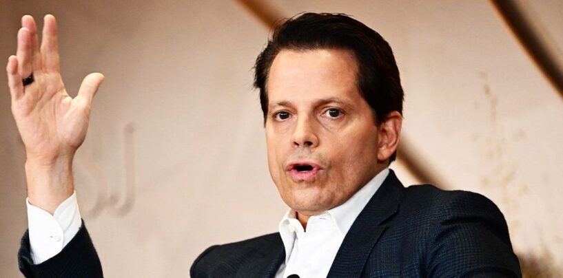 Anthony « the Mooch » Scaramucci, l'un des invités de Harris au débat de ce soir, sur les dangers de son ancien patron
