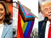 Quelle est la position de Kamala Harris et Donald Trump sur les droits LGBTQ+ ?