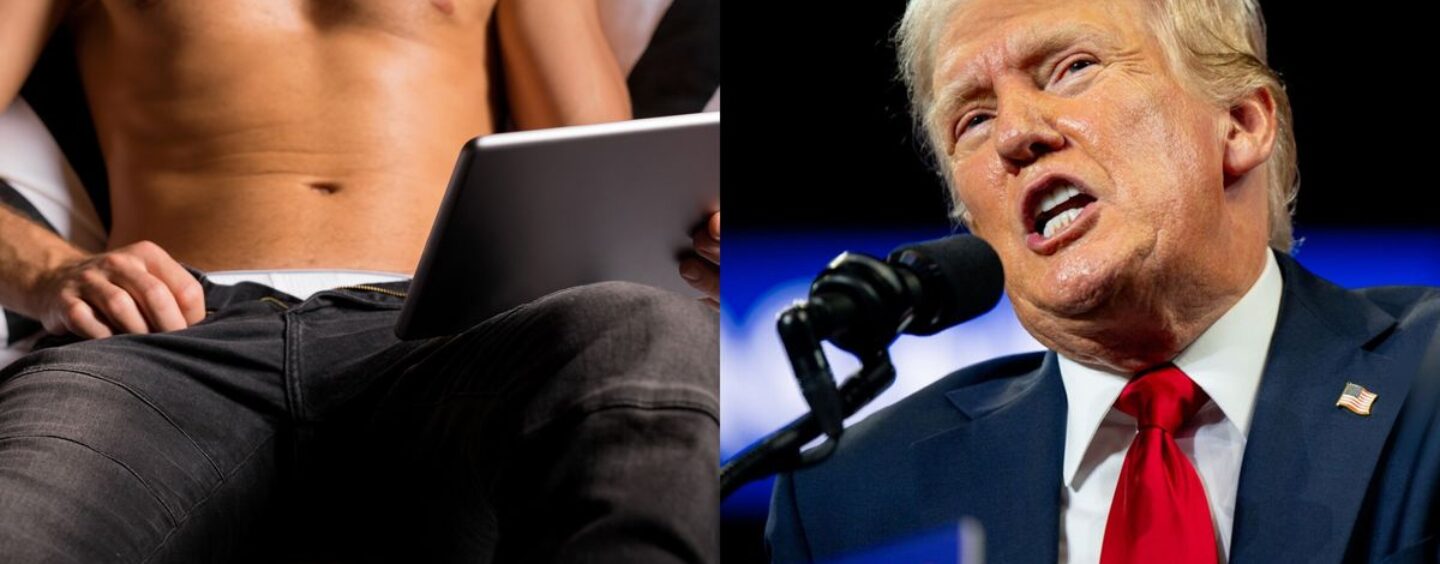 Des stars adultes publient une publicité électorale contre Trump et ces 20 réactions nous font ricaner