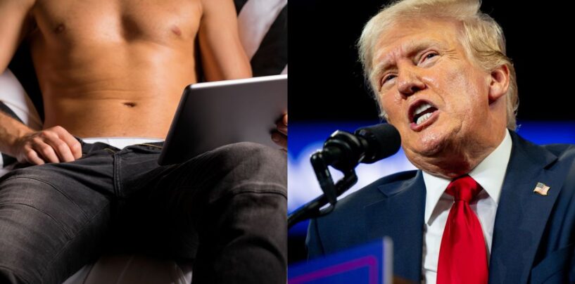 Des stars adultes publient une publicité électorale contre Trump et ces 20 réactions nous font ricaner