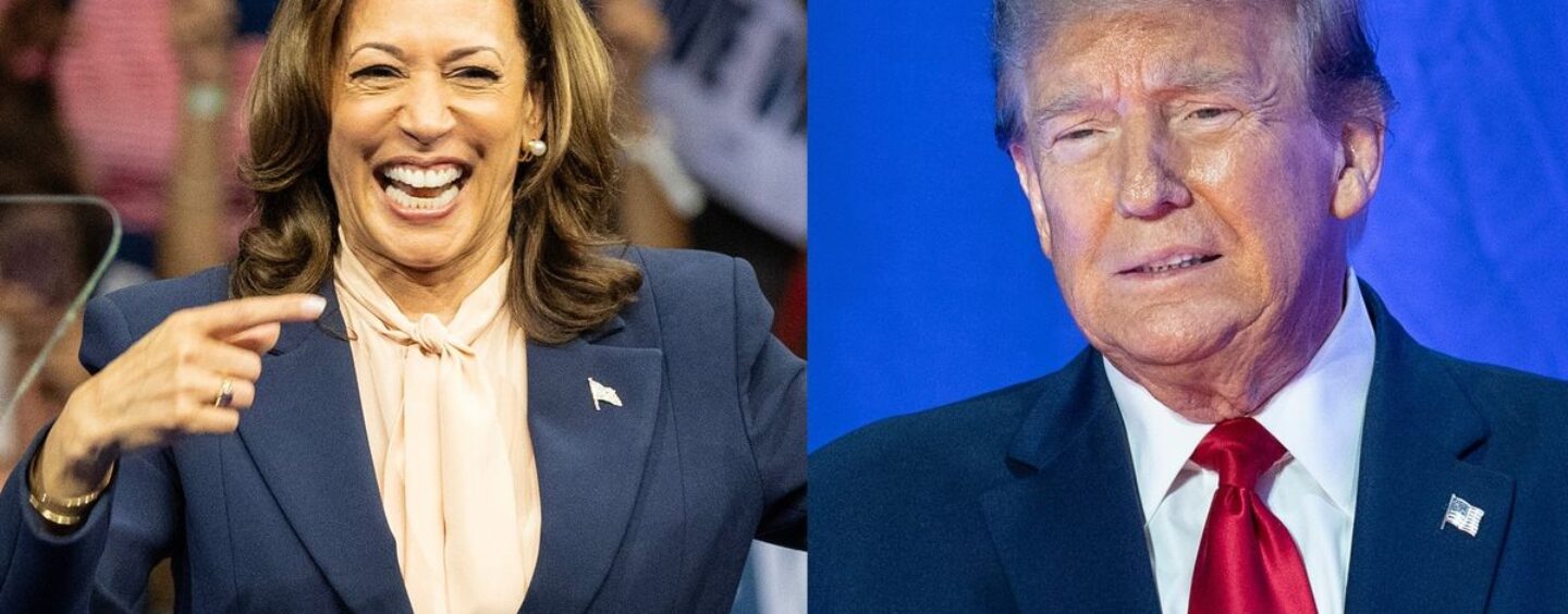 25 réactions HILARANTES à Kamala Harris qui a fait taire les chahuteurs de MAGA en RÔTISSANT la taille de la foule de Trump