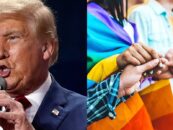 La campagne de Harris affirme que Donald Trump n'est « pas à la hauteur » après le monologue transphobe du dîner d'Al Smith