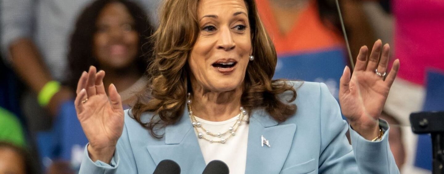30 réactions hilarantes aux chahuteurs de MAGA qui se plaignent de Kamala Harris les rôtissant