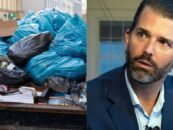 25 réactions hilarantes face au fils de Trump qui tente de s'approprier les bibliothèques en s'habillant comme un déchet humain