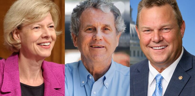 7 choses à surveiller lors des courses à la Chambre et au Sénat de demain