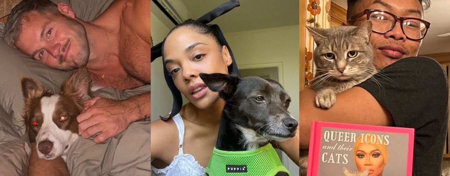 Prenez ces 21 photos de célébrités queer et de leurs adorables animaux de compagnie pour un soulagement instantané de l'anxiété électorale