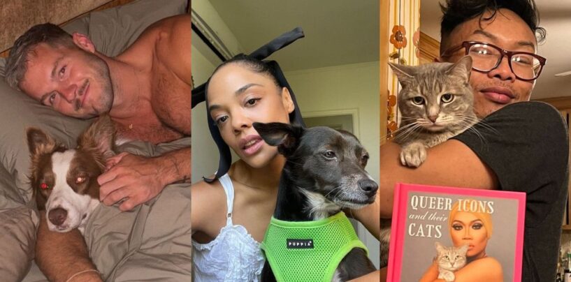 Prenez ces 21 photos de célébrités queer et de leurs adorables animaux de compagnie pour un soulagement instantané de l'anxiété électorale