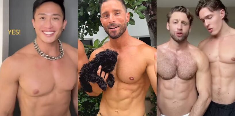 10 garçons célèbres qui nous aident à traverser le blues post-électoral