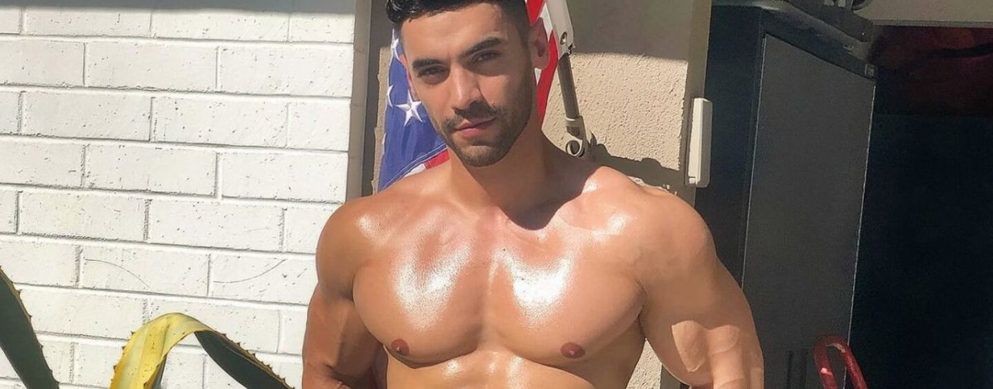 Une star gay adulte se fait pilonner après s'être déclarée partisane de Trump