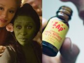 Message d'intérêt public : S'il vous plaît, les gays, ne faites pas de poppers lors de votre projection « Wicked »