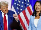 Trump choisit l'ancien anti-LGBTQ+ Dem Tulsi Gabbard comme directeur du renseignement national