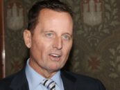 Donald Trump occupe le poste d'« envoyé spécial » pour le gay MAGA Richard Grenell