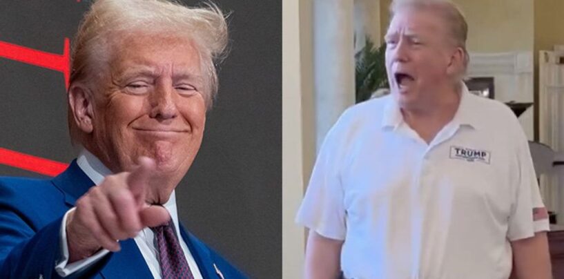 La terrible nouvelle coiffure mulet de Trump devient virale et Internet ne peut s'empêcher de le rôtir