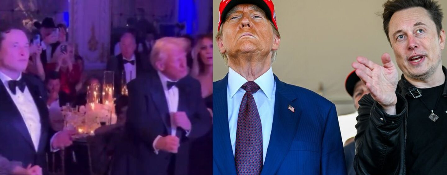 Internet rôtit Trump et Elon pour avoir dansé comme des robots défectueux et nous hurlons