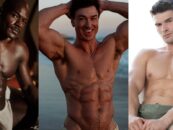 Voici le top 20 des artistes adultes recherchés par les gays en 2024