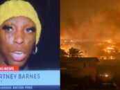 Les incendies de Los Angeles ont une « reine des mèmes » alors qu'un résident devient viral pour son impertinence dans les informations locales