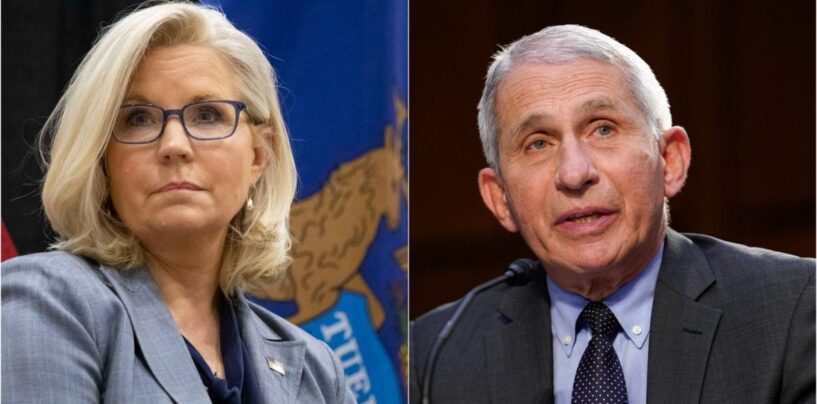 Joe Biden protège les cibles potentielles de Trump en accordant des grâces préventives avant son investiture