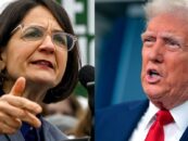 La représentante américaine Becca Balint dit que la conférence de presse de l'accident d'avion de Trump de Trump prouve «qu'il ne va pas bien»