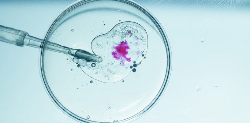 Protéger les droits des familles LGBTQ + dans la deuxième présidence Trump