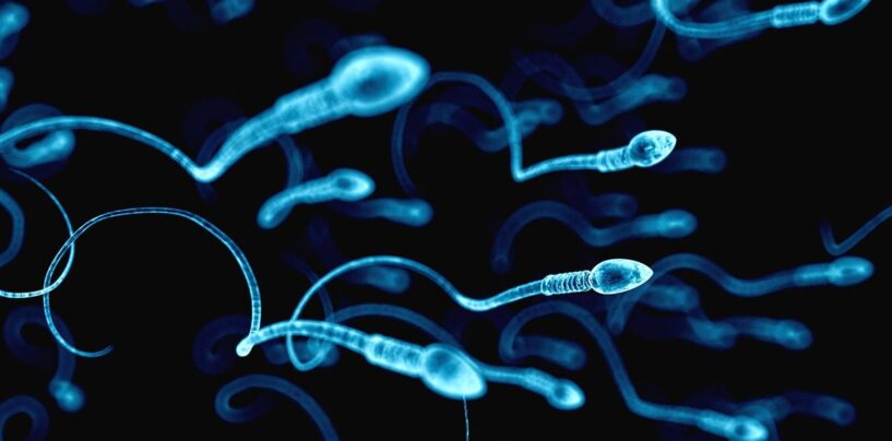 L'Ohio Bill interdirait l'éjaculation sans intention de concevoir – à des exceptions pour les personnes LGBTQ +