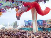 Le festival de fête d'hiver 2025 revient à Miami Beach, défendant LGBTQ + Joy & Resistance