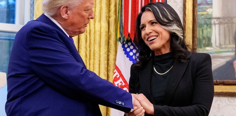 Tulsi Gabbard purge les officiers du renseignement sur les conversations hors contexte des conservateurs dénoncer comme des «chats sexuels transgenres»